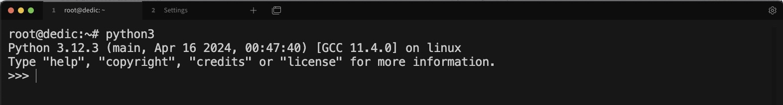 Проверка python3 работает версия из исходников