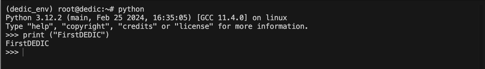 Проверка использования команды python и pip